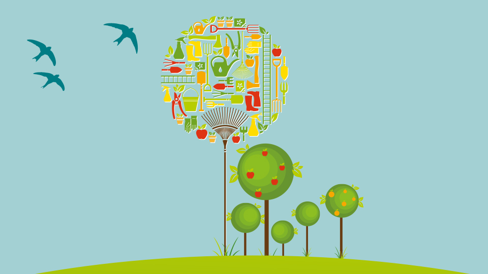 apply gov loan crisis Housing.vic.gov.au Home