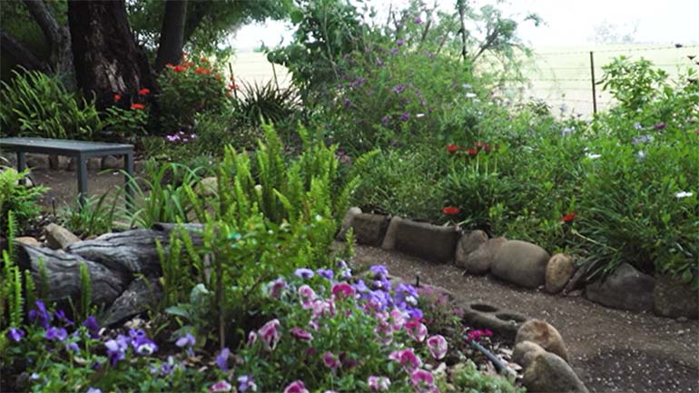 2018 Victoria in Bloom award winning garden