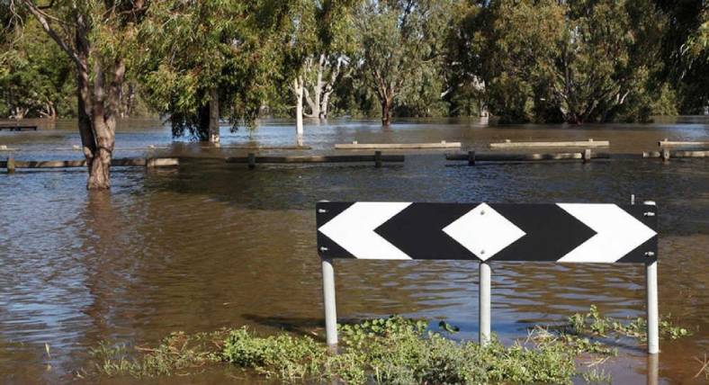 Flooding with trees and road sign