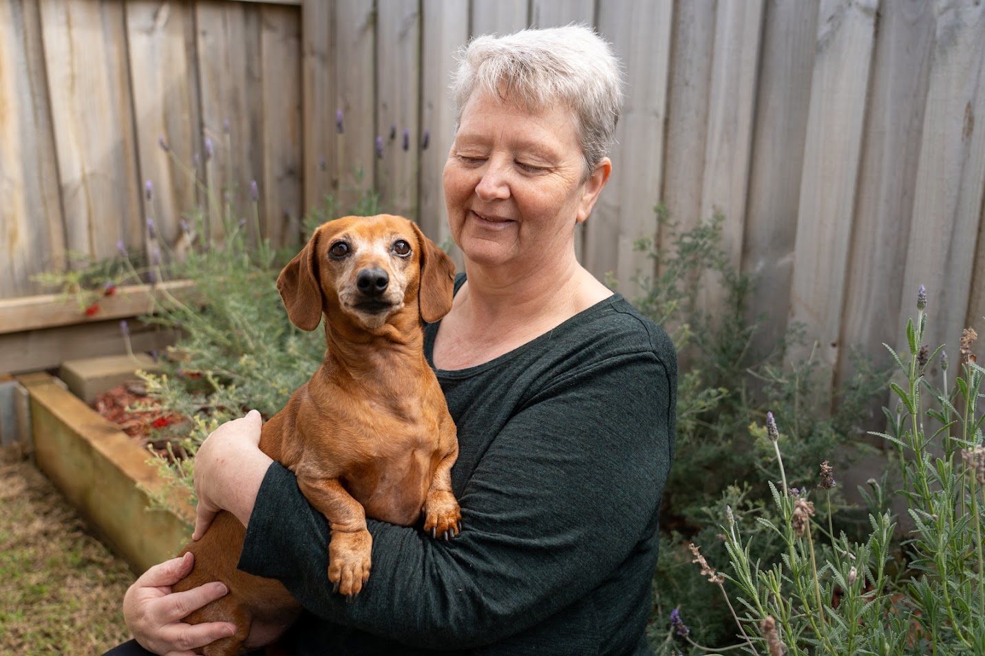 Trish and Minnie the Daschund